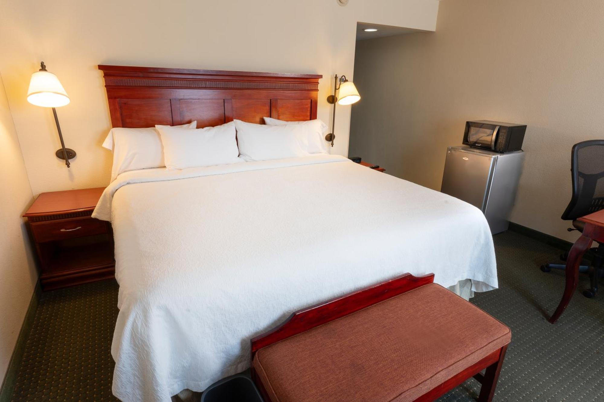 Hampton Inn By Hilton Guadalajara-Aeropuerto Las Pintas Kültér fotó